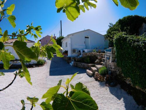 Bed & Breakfast Zante Hideaway II Nearby Shipwreck