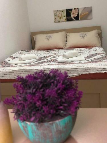 Shah Apartment