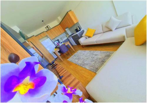 Apartamento Ekpa 1207