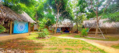 Ecocamping Canto Da Coruja