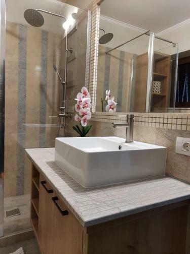 Villa Luxury Resort Brezoi