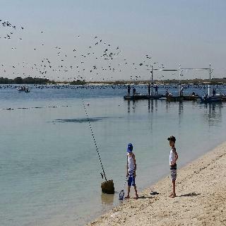 Hotel Flamingo Beach Resort