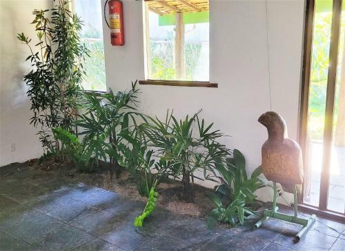 Linda Casa Com Piscina A Poucos Passos Da Praia