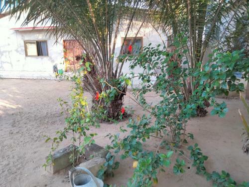 Apartamento Saint Fran�ois