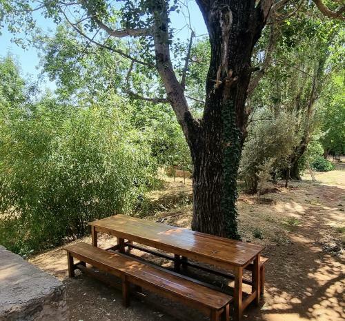 Posada G�te Camping Amazigh