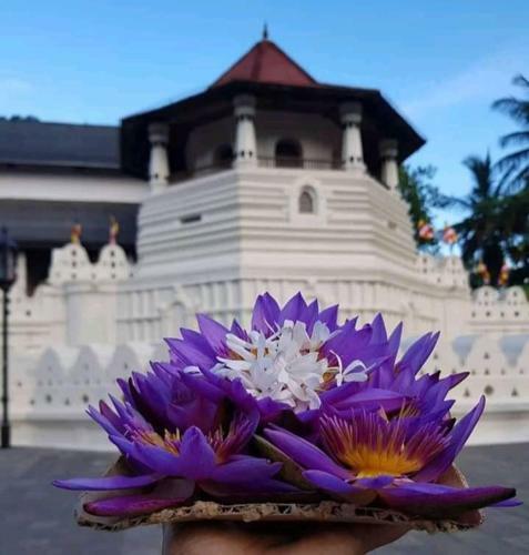 Hostal Katarolu Flower