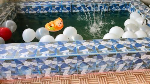 Din?z Pool Guest House