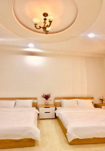 Villa Q's House
