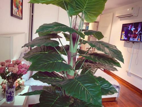 Mayhouse - Cozy Harmony 06