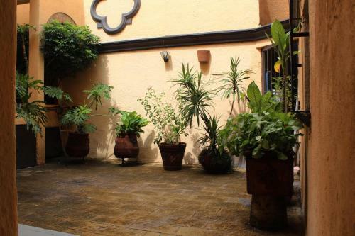Apartamento Estudio 3 /glorieta Chapalita