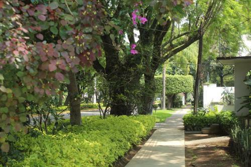 Apartamento Estudio 3 /glorieta Chapalita