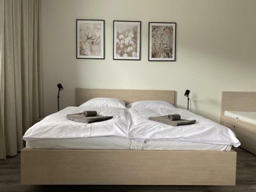 Apartm�n Luel