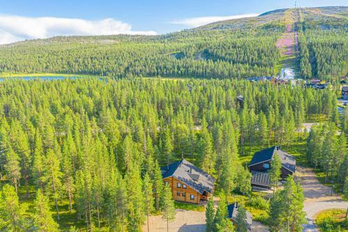 Apartamento Villa Arcticfox Levi