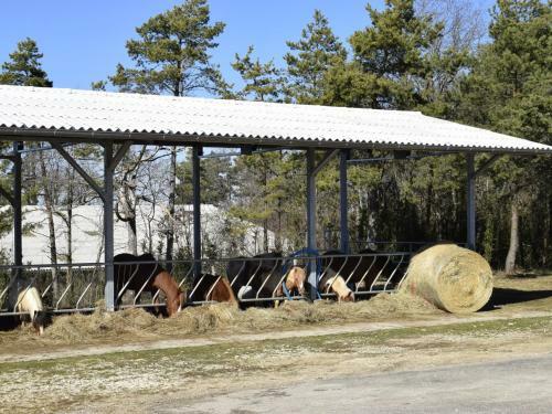 Chalet Aromas, 7 Pi�ces, 10 Personnes - Fr-1-654-8