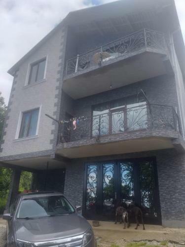 Anita Guest House
