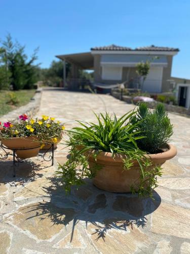 Moi Country Villa