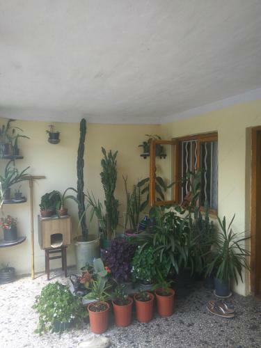Hostal Zugdidi Dutu Megreli N1