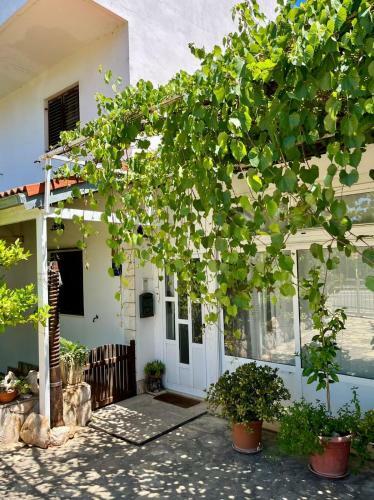 Gorana Two Bedroom Apartment