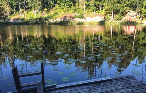 Stunning Apartment In Eringsboda With