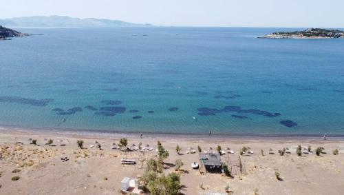 V?lla Ern?s - Dat�a Raykent Tat?l S?tes? - K?ralik