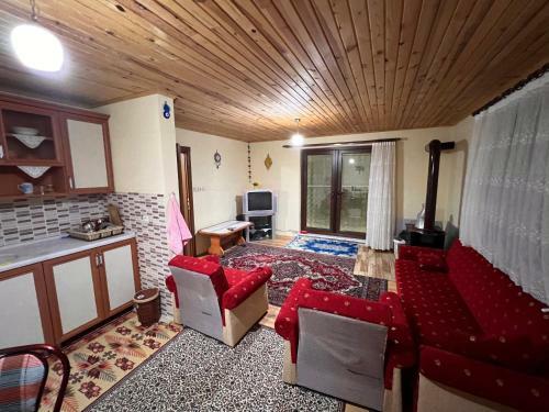 Ha�ka Yaylasi Da? Ev?