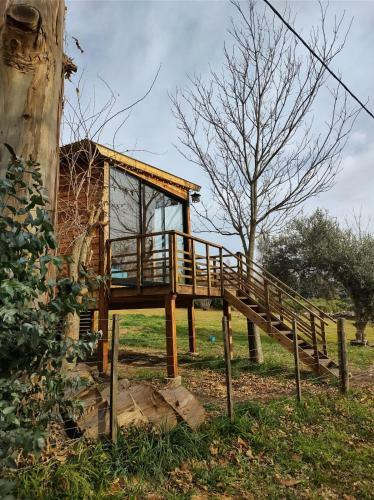 Tiny Ecohousetandil