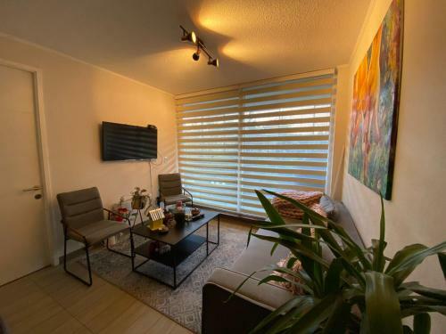 Apartamento Vive Puc�n Sin Auto