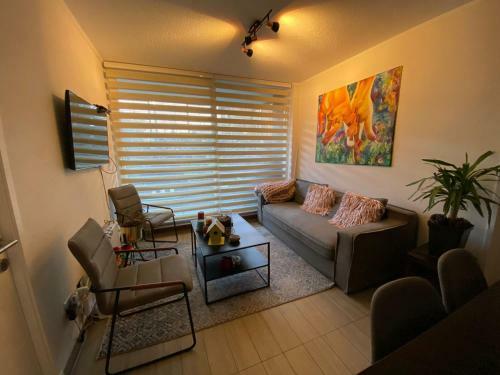Apartamento Vive Puc�n Sin Auto