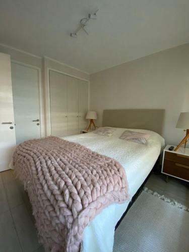 Apartamento Vive Puc�n Sin Auto