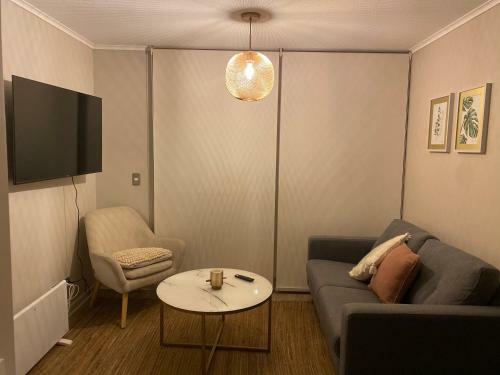 Apartamento C�modo Y Acogedor Departamento Pucon Chile