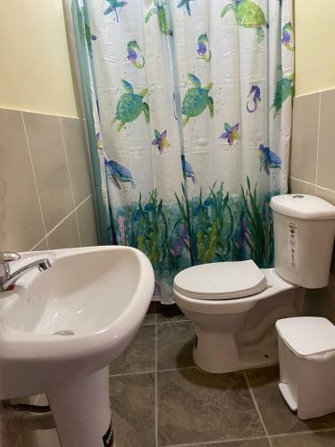 Hostal San Alejo 0