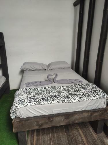 Colors Fantasy Hostel