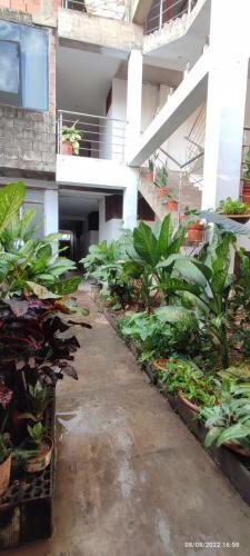 Casa Familiar El Payol