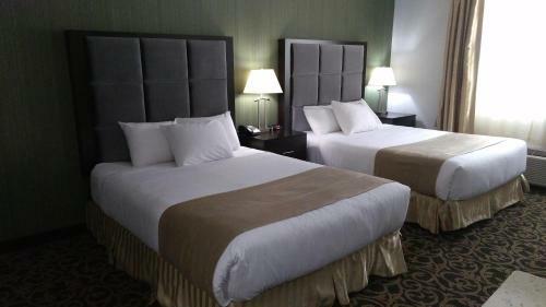 Hotel Paradise Inn And Suites