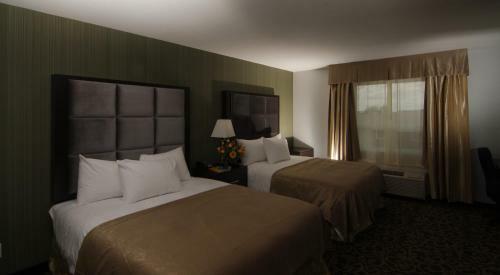 Hotel Paradise Inn And Suites
