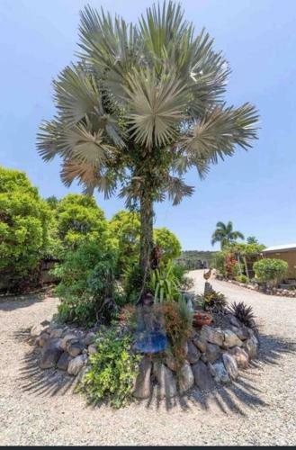 Apartamento Cosy Three Bedroom Guesthouse In Kuranda