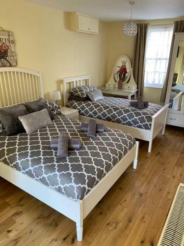 Bed & Breakfast The Ashton Mews