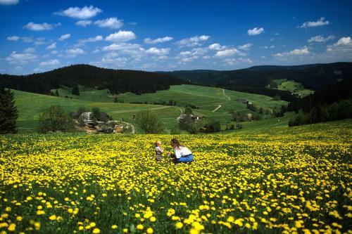 Hotel Waldeck