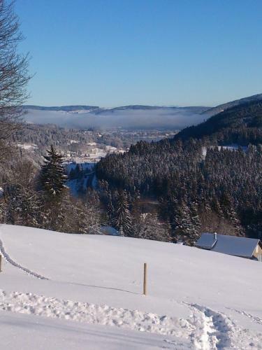 Hostal Pension Kastner