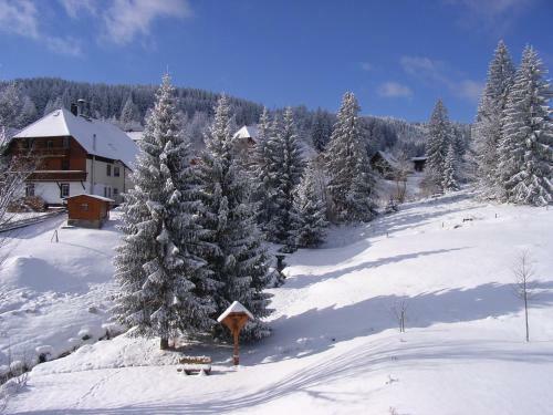 Hostal Hotel-pension Kr�utle