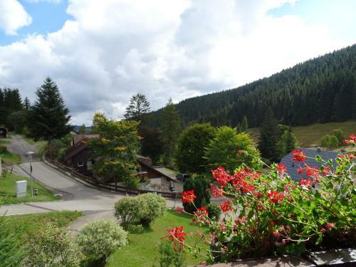 Hostal Hotel-pension Kr�utle