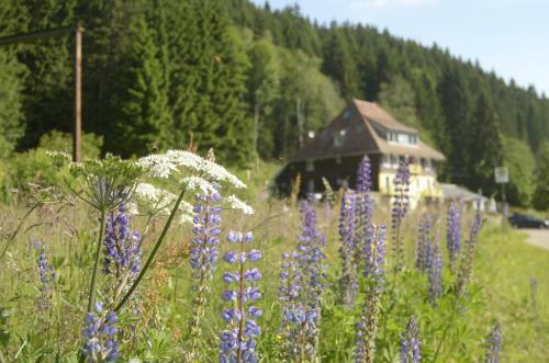 Hostal Gasthaus L�ffelschmiede