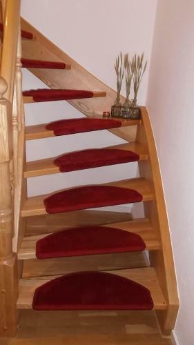 Apartamento Haus Zur Gerberei 100 M Zum Bodensee