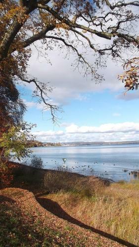 Apartamento Haus Zur Gerberei 100 M Zum Bodensee