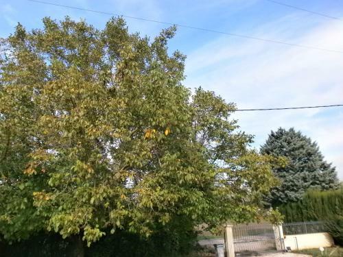 Bed & Breakfast Les Tourterelles