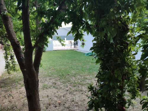 Villa Serenity With Private Pool And Large Garden.