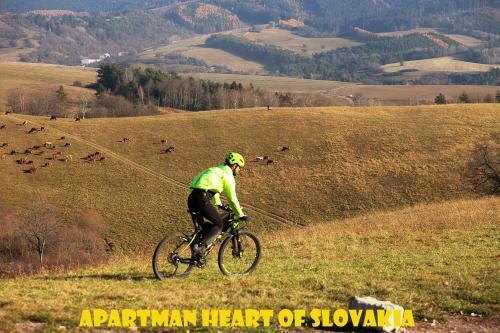 Apartman Srdce Slovenska