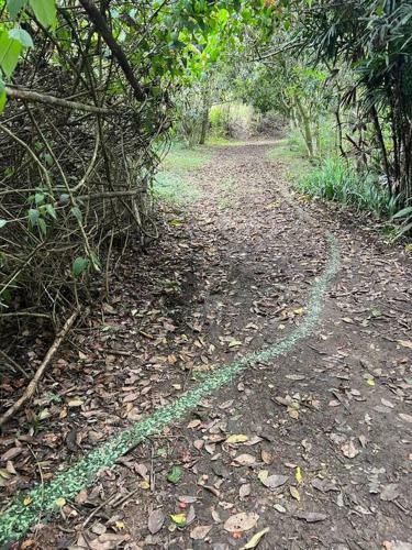 Villa Spectacular 5 Stars Lake House