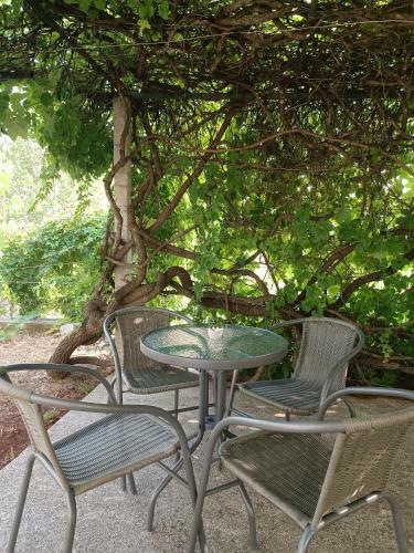Apartman Dalmatinka