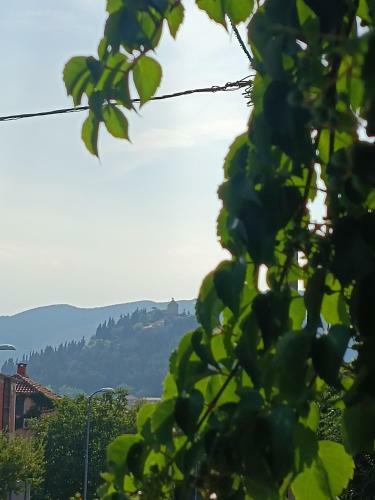 Apartman Dalmatinka